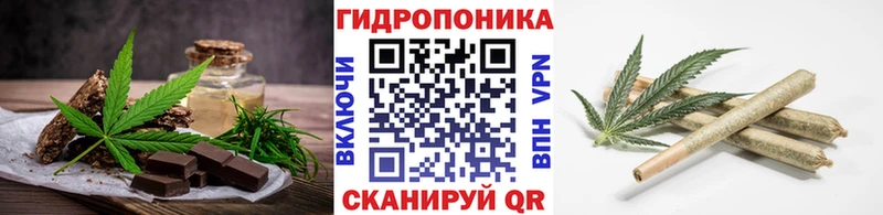 купить наркоту  Гаврилов Посад  Canna-Cookies марихуана 