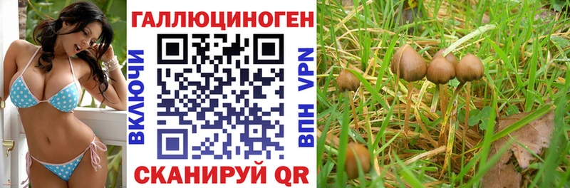 цена   Гаврилов Посад  Псилоцибиновые грибы мухоморы 